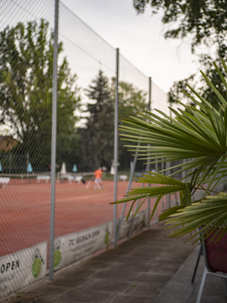 Club-Pflanzen.jpg